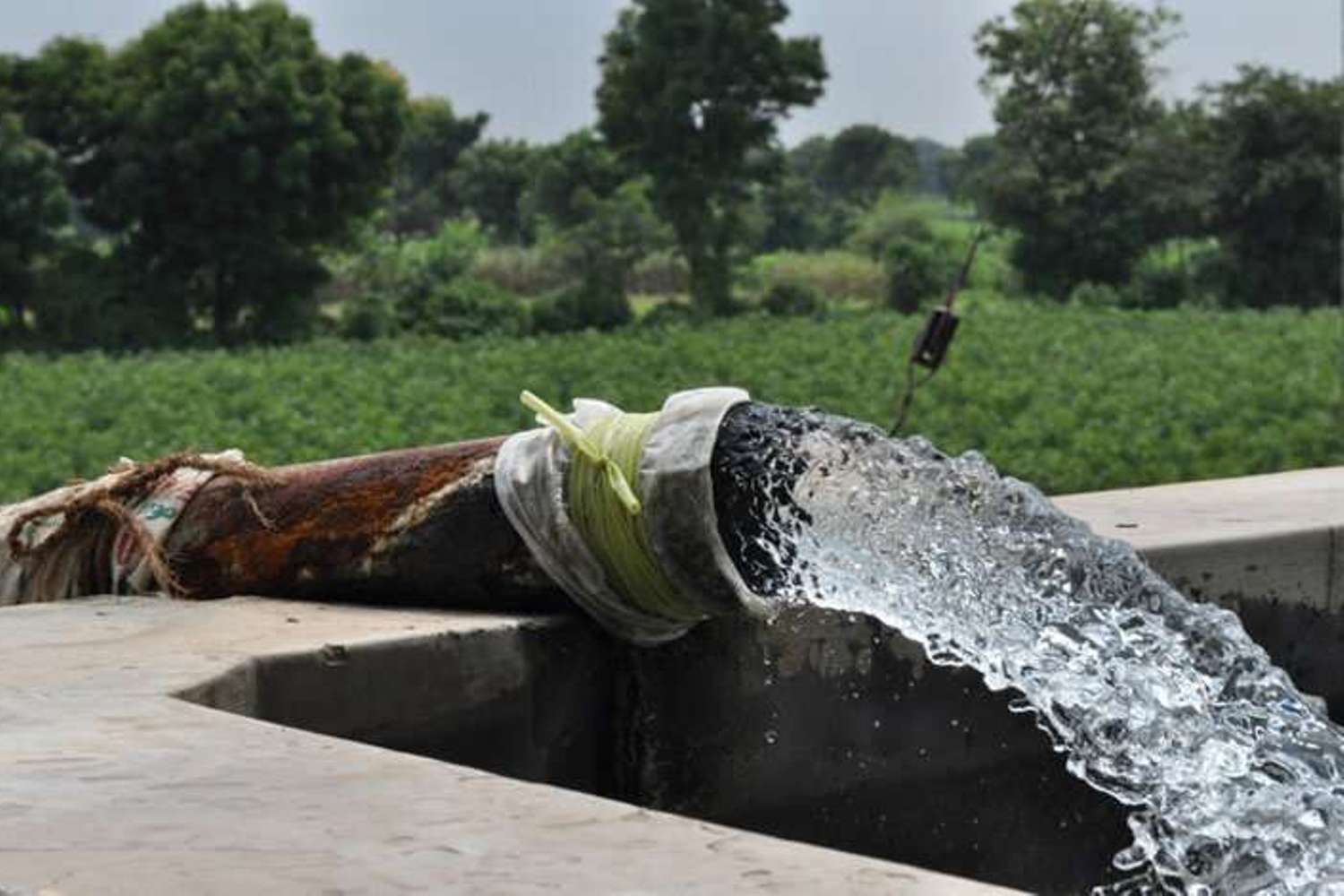 Groundwater Levels Surge by Over 1 Meter in 12 Haryana Districts